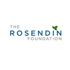 rosendin logo